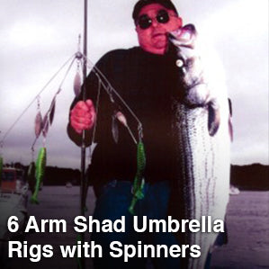 6 Arm Shad Umbrella Rigs with Spinners