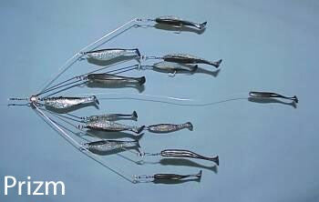 7 inch 4 arm Umbrella Rig with 4 4 inch shads and Mini Ruby Lip Parachute  with shad ready to fish